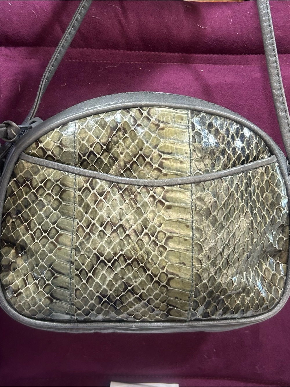 Vintage Python Crossbody Bag in Olive Green